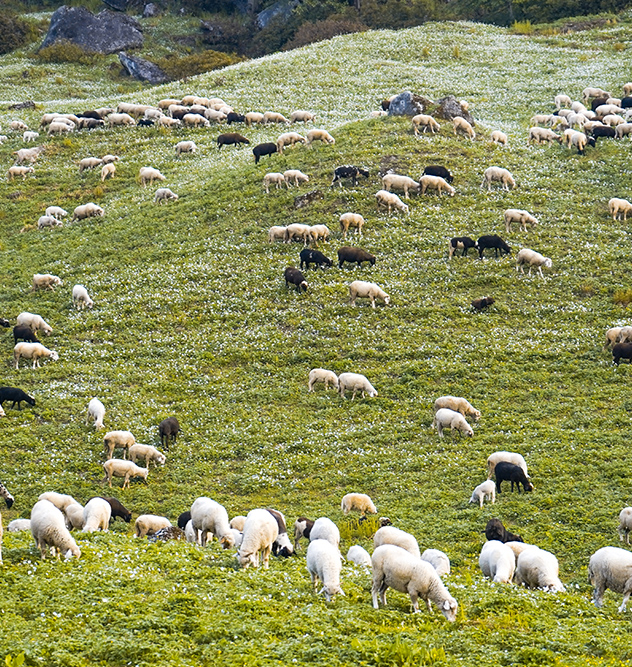 <p>Terroir e identit&agrave;</p>